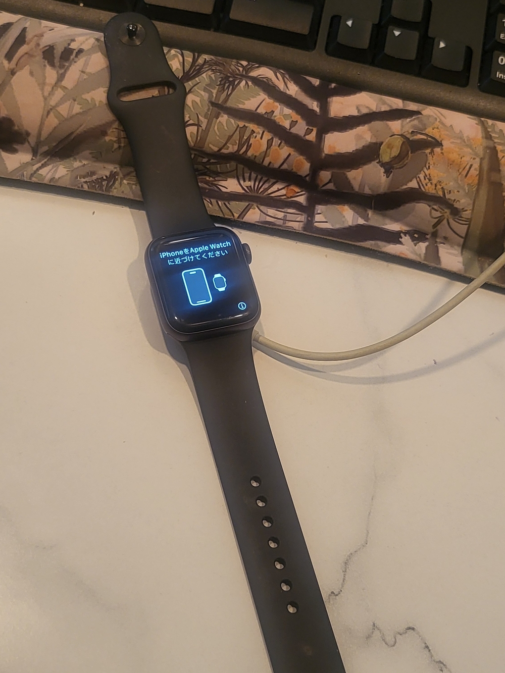 Apple Watch Series 5 40mm  Sport Black Sport Band